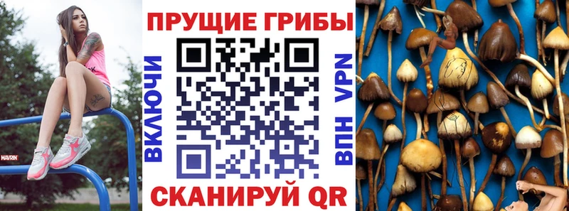 Галлюциногенные грибы MAGIC MUSHROOMS  Купить закладки  Ирбит 